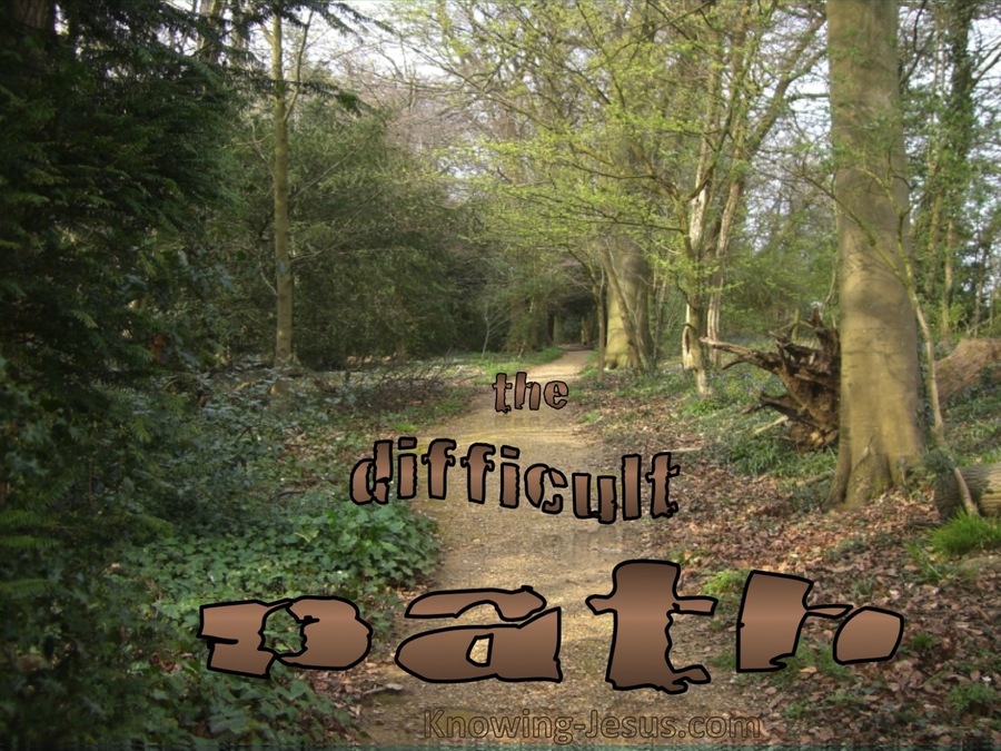 The Difficult Path (devotional)02-28 (brown)